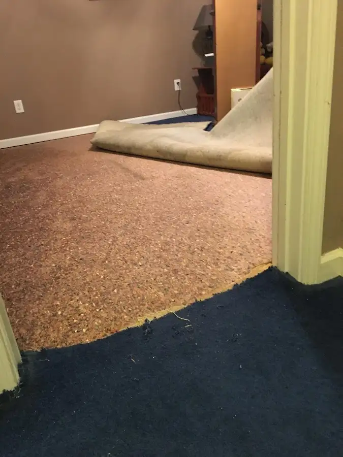 Carpet pad removal revealing water damage during Water Mitigation Services in Dover