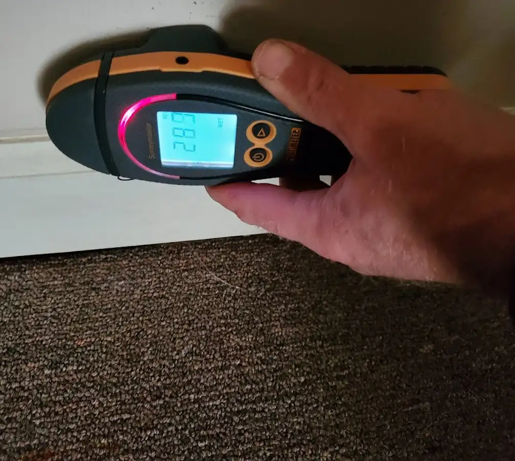 Moisture detection at baseboard during Sewage Cleanup & Sanitation in Dover